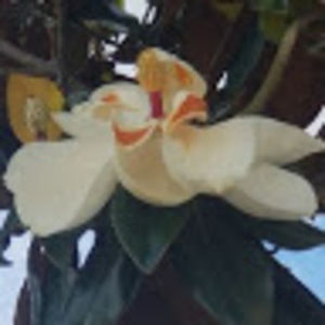 Meet your Posher, Krystle